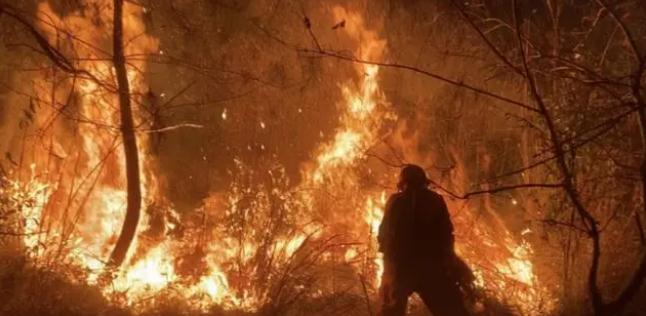 明火已撲滅，初步判斷由祭祀用火引發！今年已發生多起