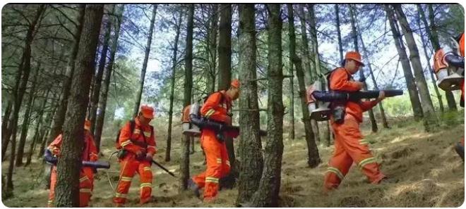 全市森林草原防火期結束，嵩明持續筑牢森林“防火墻”